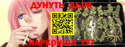 spice Кулебаки