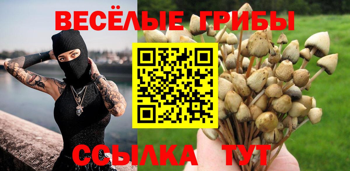 Галлюциногенные грибы Cubensis  Вход с VPN  Клинцы 